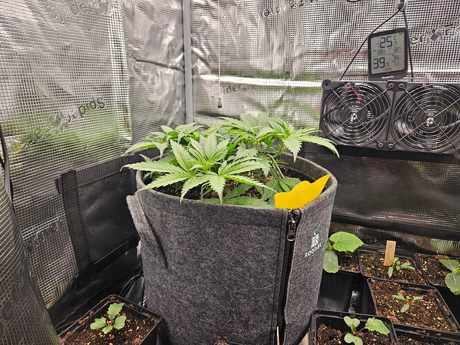 Growreport Bild 10