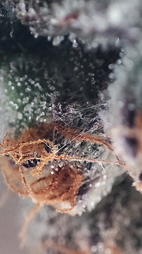 Growreport Bild 11