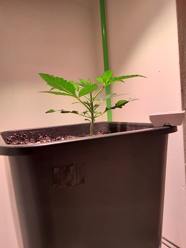 Growreport Bild 90