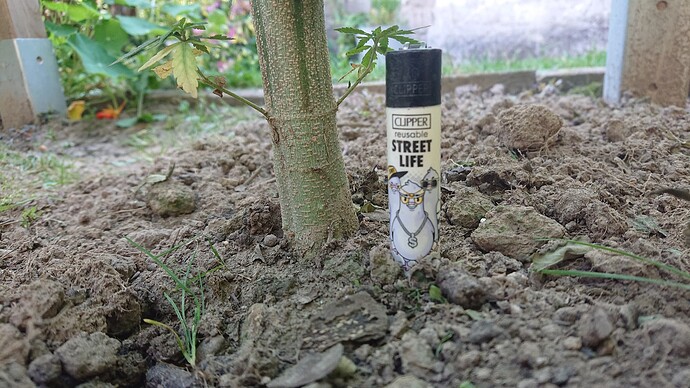 Growreport Bild 51