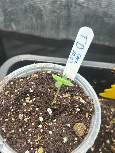 Growreport Bild 107