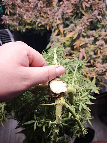 MVIMG_20251204_180611