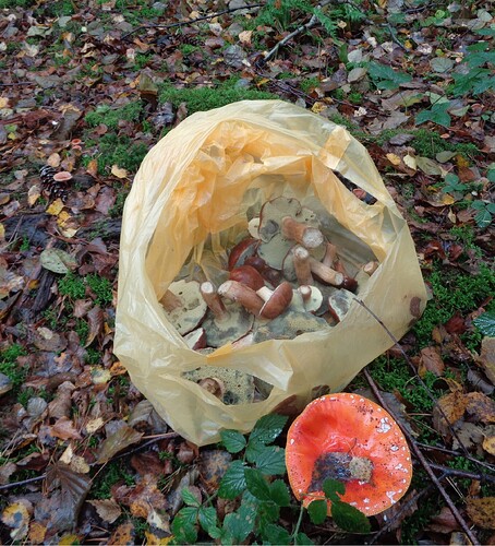 Essen