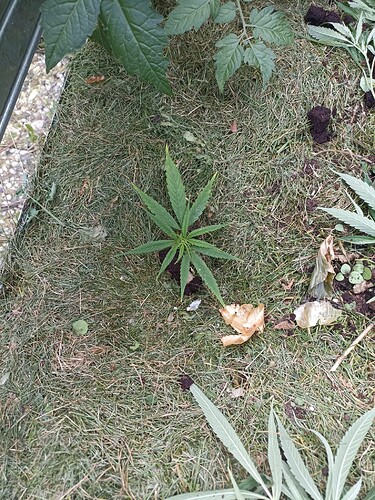 WhatsApp Bild 2024-09-18 um 11.37.43_dcf8436d