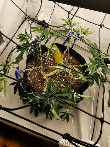 Growreport Bild 16