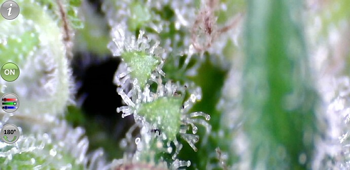 Growreport Bild 11