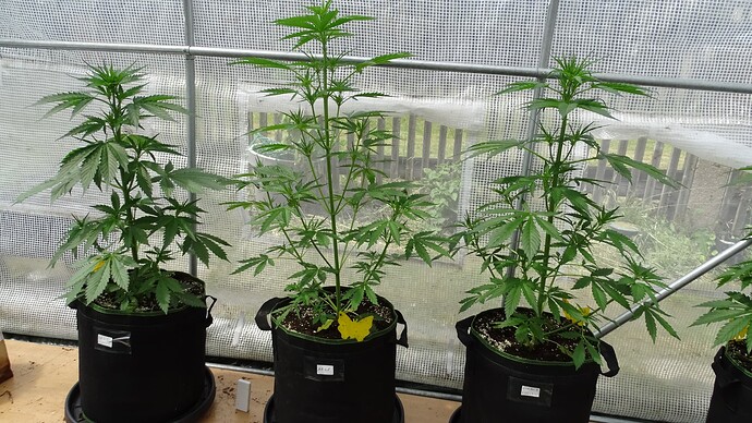 Growreport Bild 2