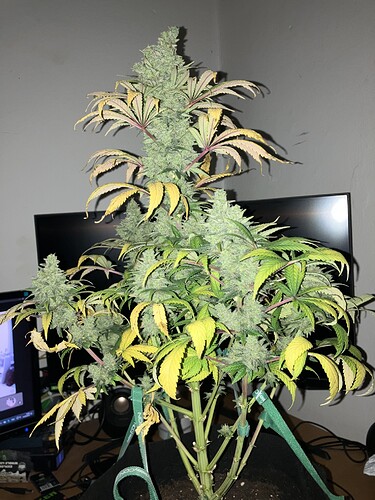 Growreport Bild 8