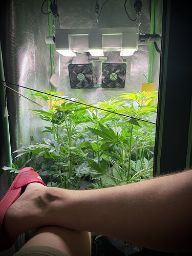 Growreport Bild 1