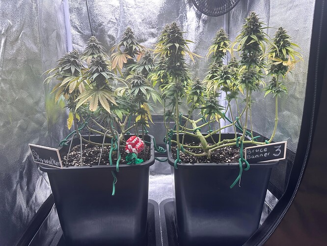Growreport Bild 10