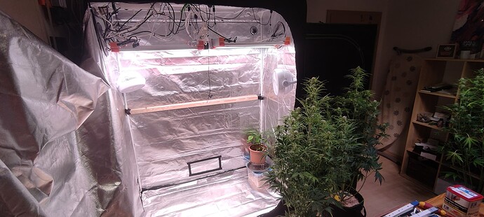 Growreport Bild 13
