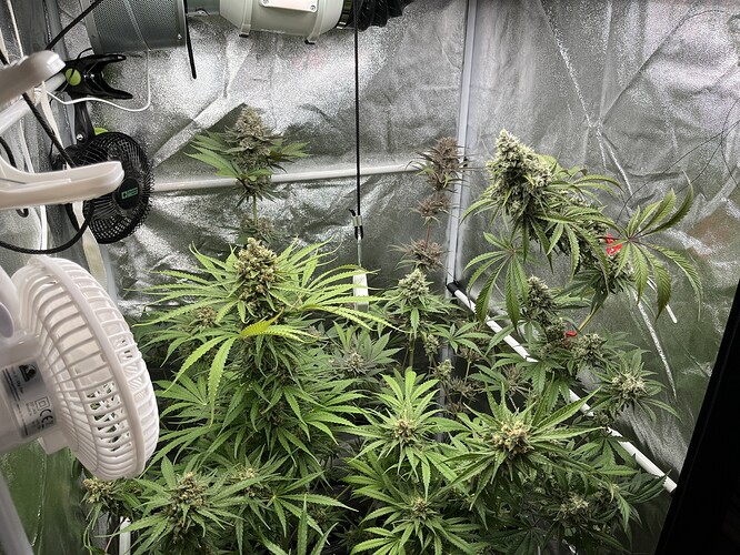 Growreport Bild 11