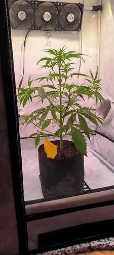 Growreport Bild 13