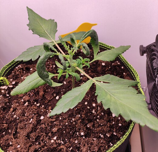 Growreport Bild 8