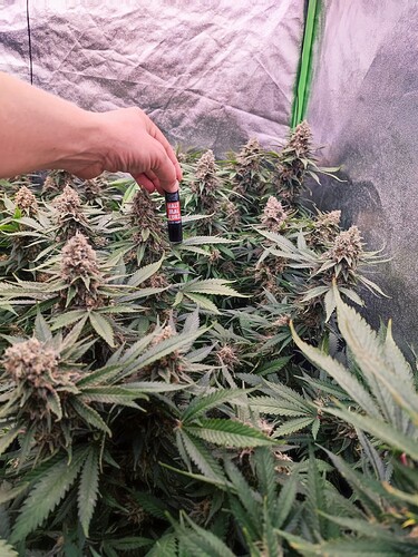 Growreport Bild 15