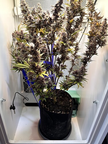 Growreport Bild 8