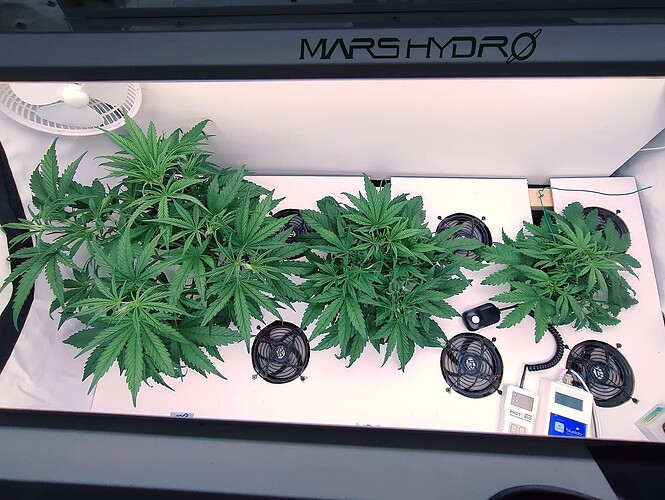 Growreport Bild 6