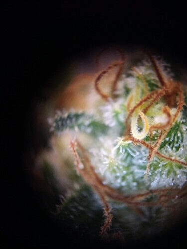 Growreport Bild 25