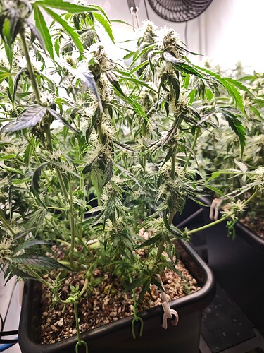 MVIMG_20251103_190514