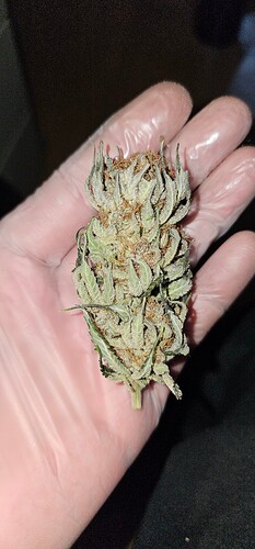 Growreport Bild 44