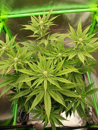 Growreport Bild 12