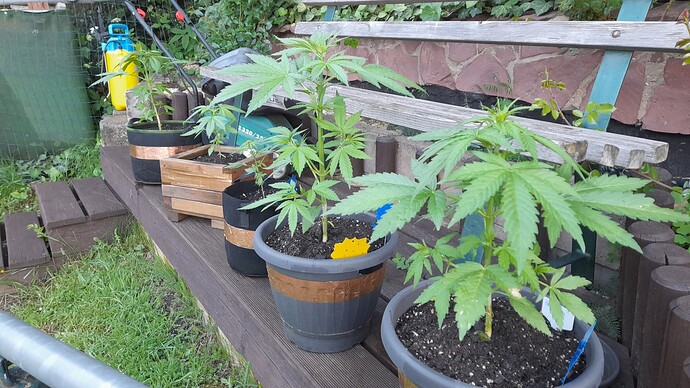 Growreport Bild 13