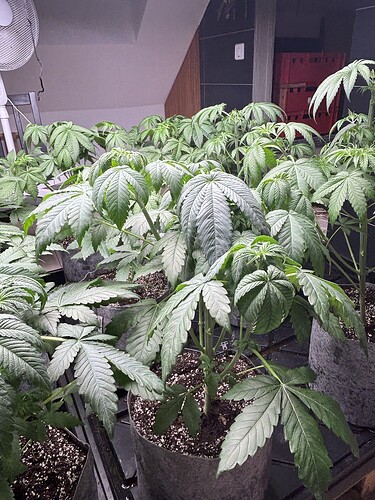 Growreport Bild 17