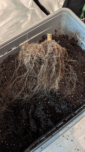 Growreport Bild 6