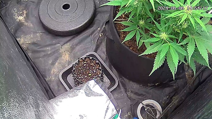 Growreport Bild 2