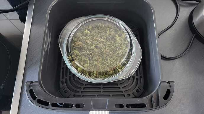 4. Grow: Barney’s stinkender blauer Käse Fuß
