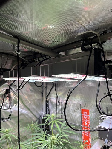 Growreport Bild 25