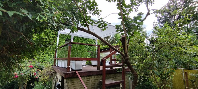 Growreport Bild 6
