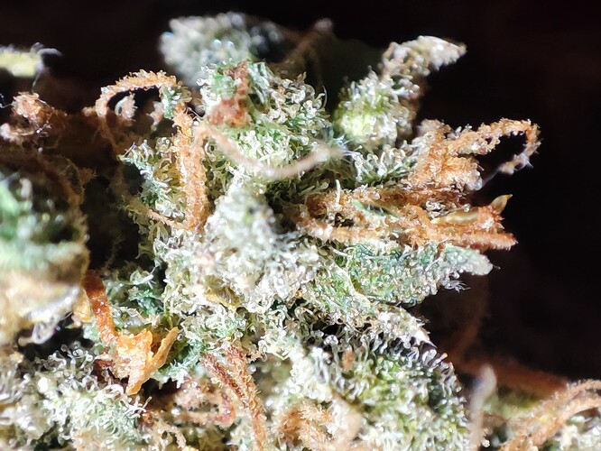 Growreport Bild 17