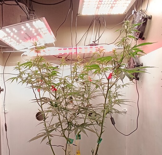 Growreport Bild 2
