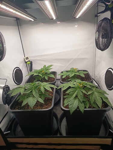 Growreport Bild 6