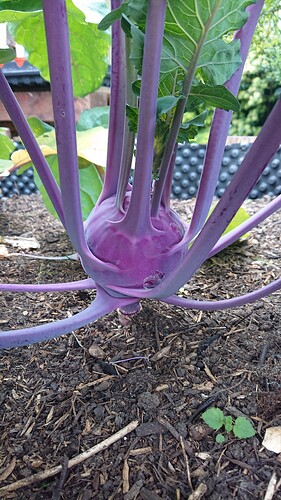Growreport Bild 14