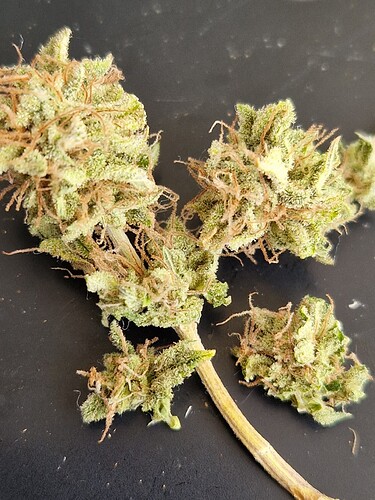 Growreport Bild 19