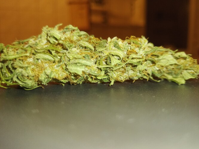Growreport Bild 33