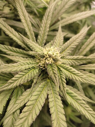 Growreport Bild 23