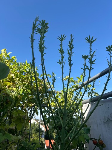 Growreport Bild 40