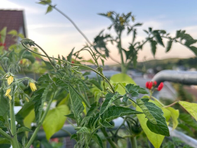 Growreport Bild 8