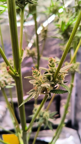 Growreport Bild 2