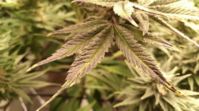 Growreport Bild 12