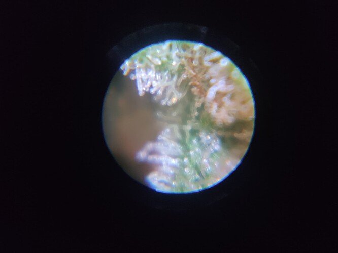 Growreport Bild 9