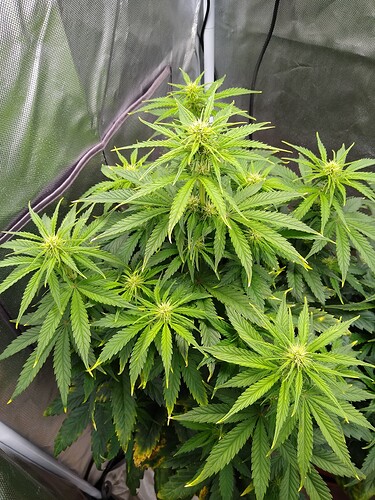 IMG_20240523_105858246