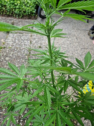 Growreport Bild 28