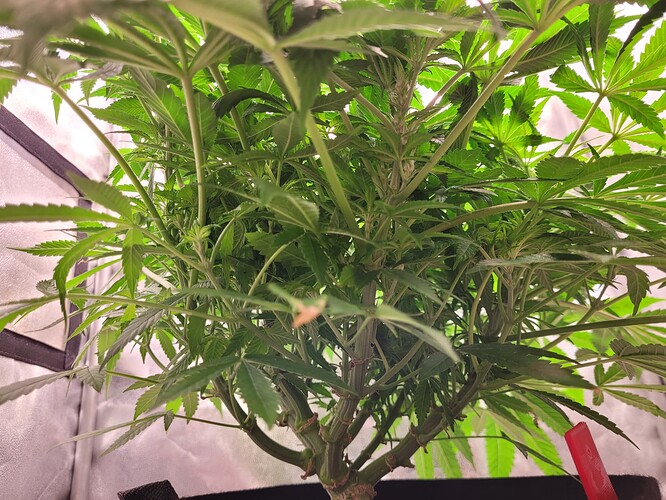 Growreport Bild 14