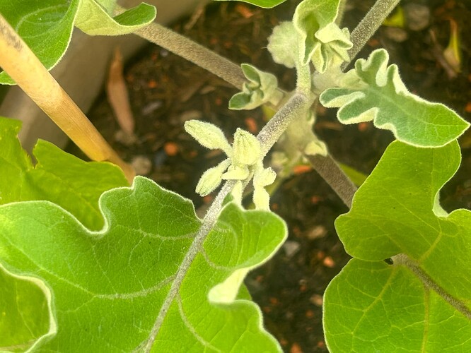 Growreport Bild 2