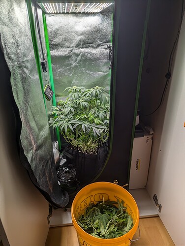 PXL_20241013_194905828.MP