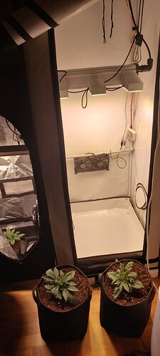 Growreport Bild 11